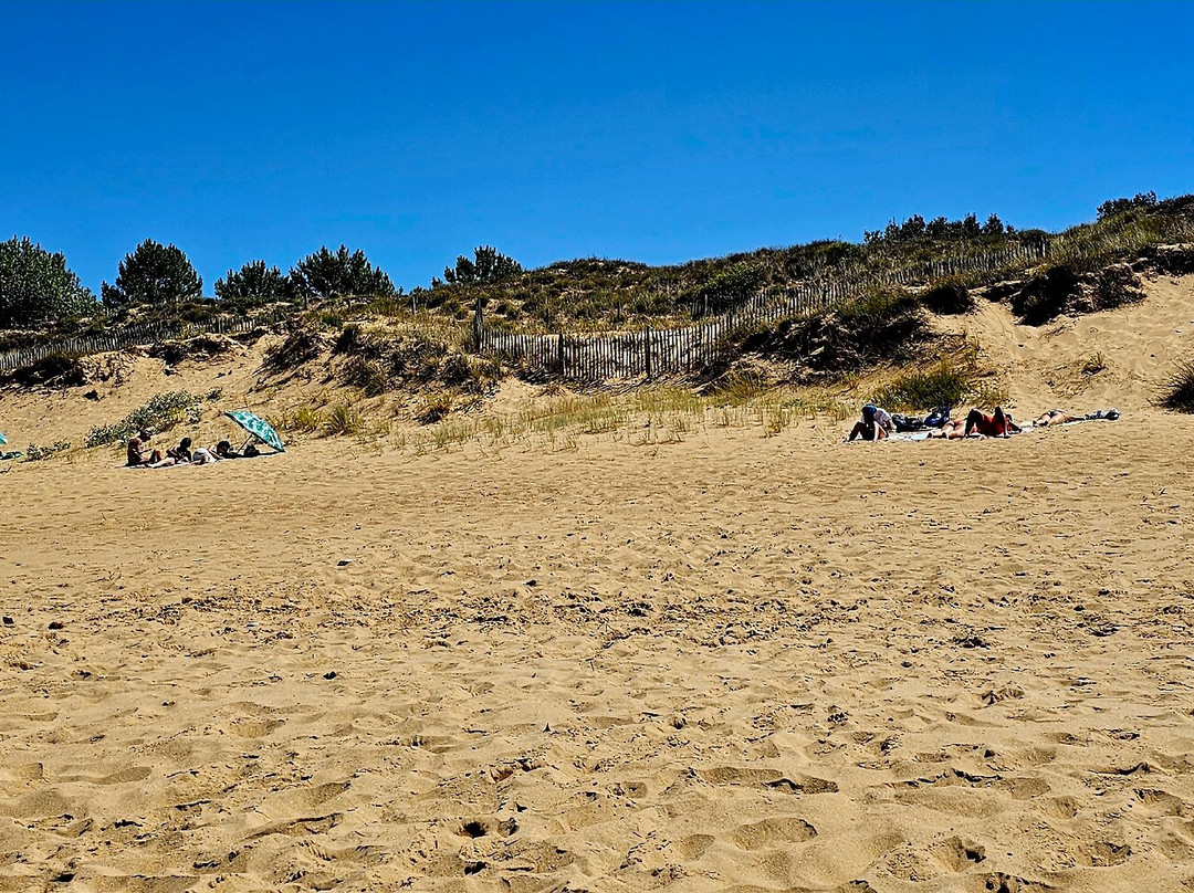 Saumonards Beach-Saint-Georges-d'Oleron必去景点