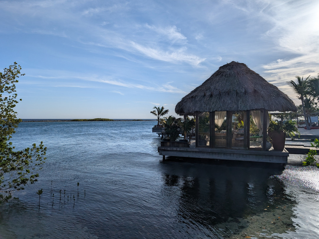 Aruba Ocean Villas主图