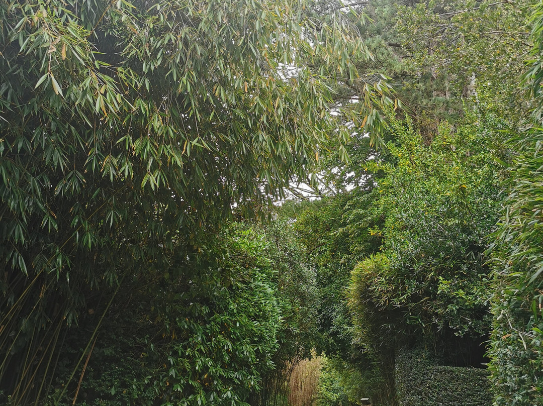 Glengarriff Bamboo Park-Glengarriff必去景点