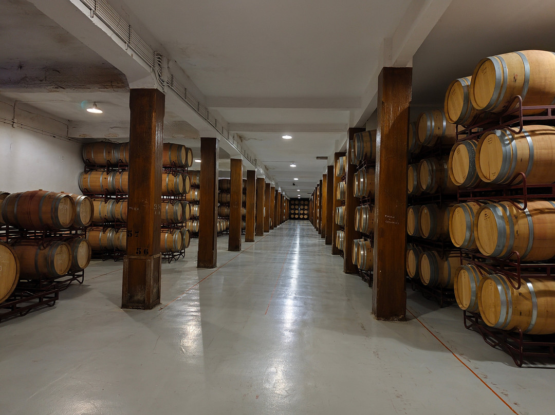 Bodegas Franco Espanolas-洛格罗尼奥必去景点