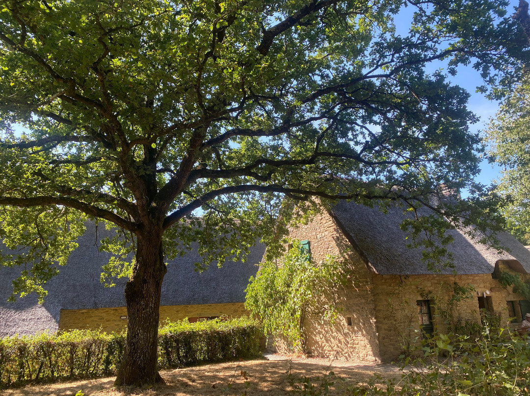 Village de Kerhinet-Saint-Lyphard必去景点