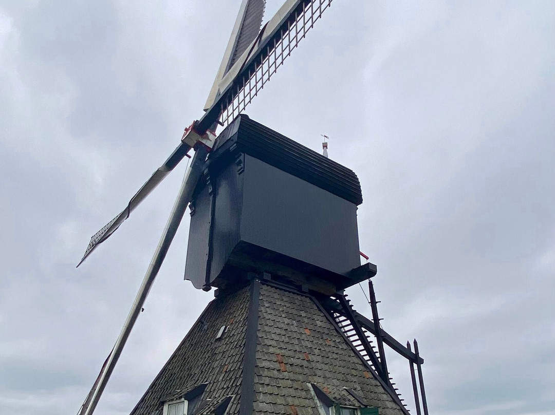 Museum Molen Blokweer-小孩堤防必去景点