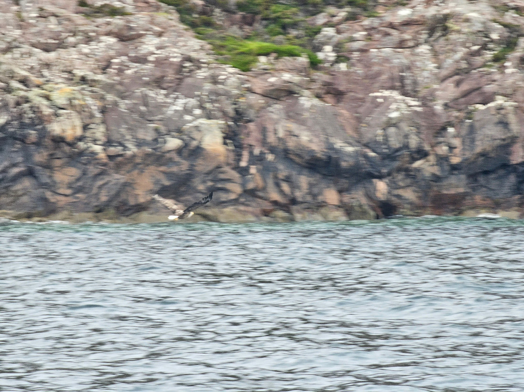 Stardust Boat Trips Portree-Portree必去景点