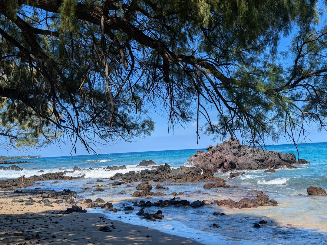 Waialea Beach-卡慕也拉必去景点
