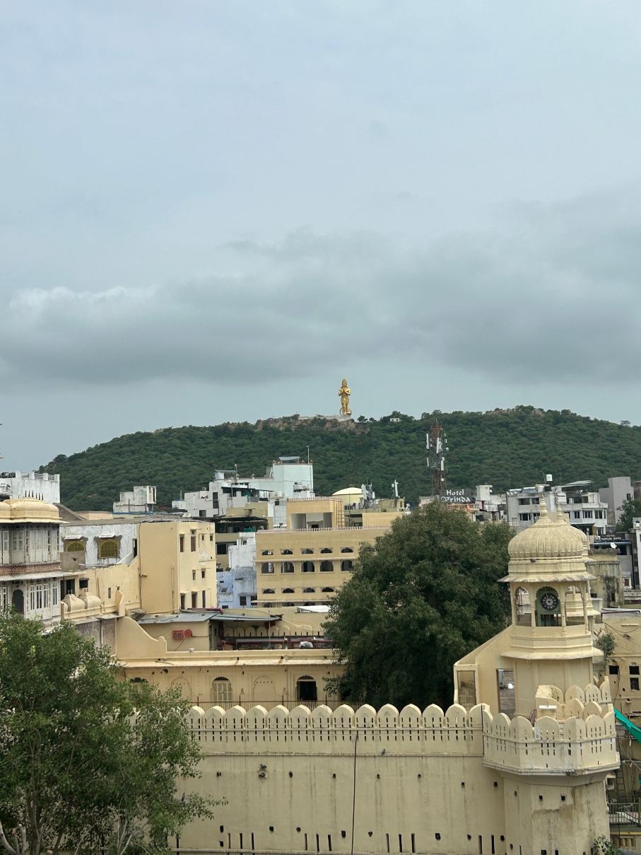 Shree Vallabh Vilas Lords Plaza 纳特杜瓦拉- 纯素食-旅行者