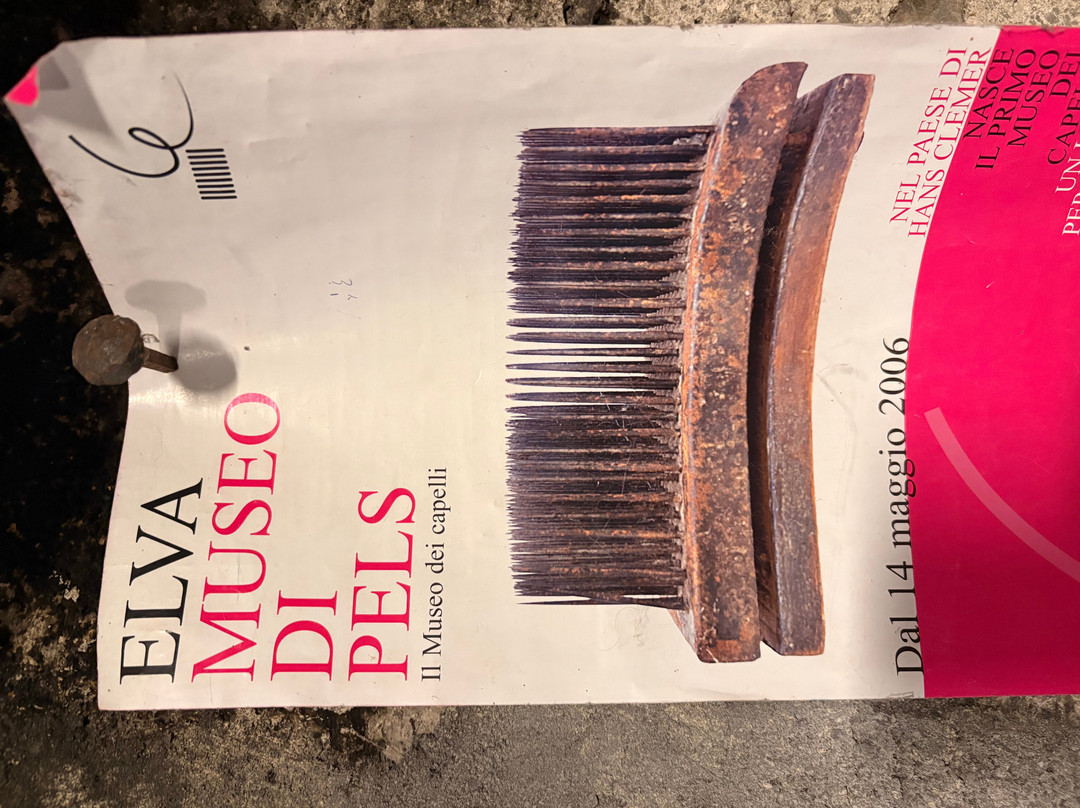 Museo Dei Cavie' - Museo Di Pels-Elva必去景点