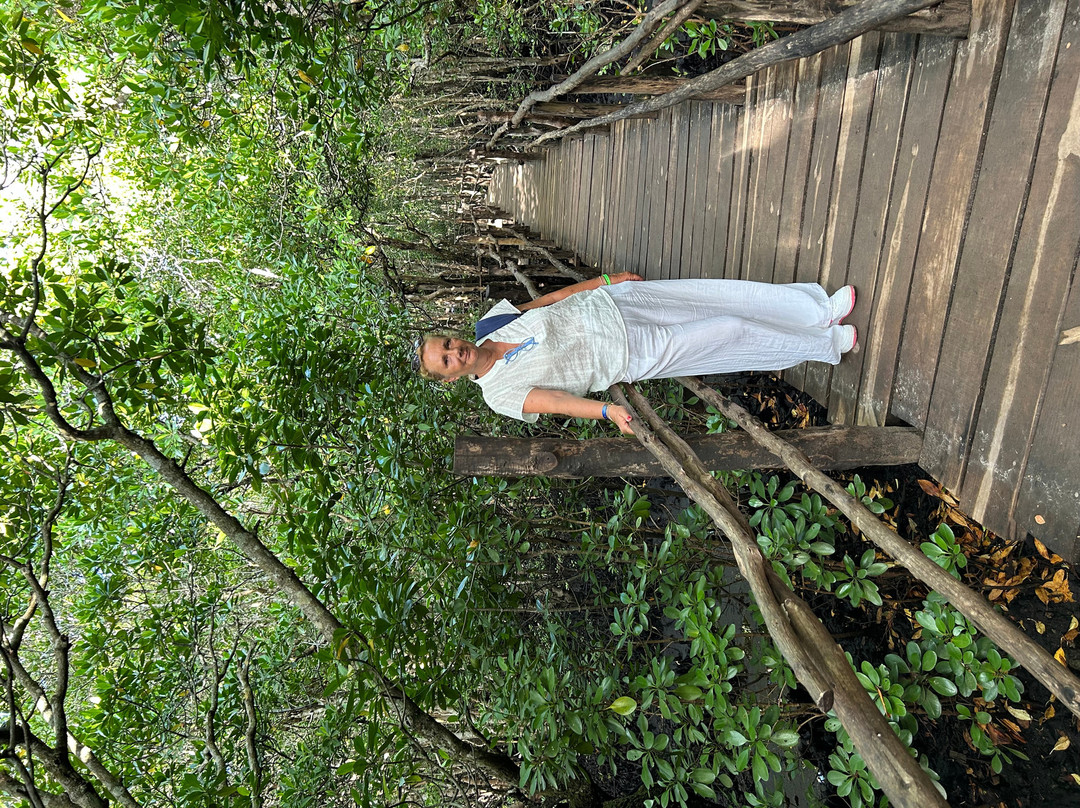 Jozani Chwaka Bay National Park-桑给巴尔岛必去景点