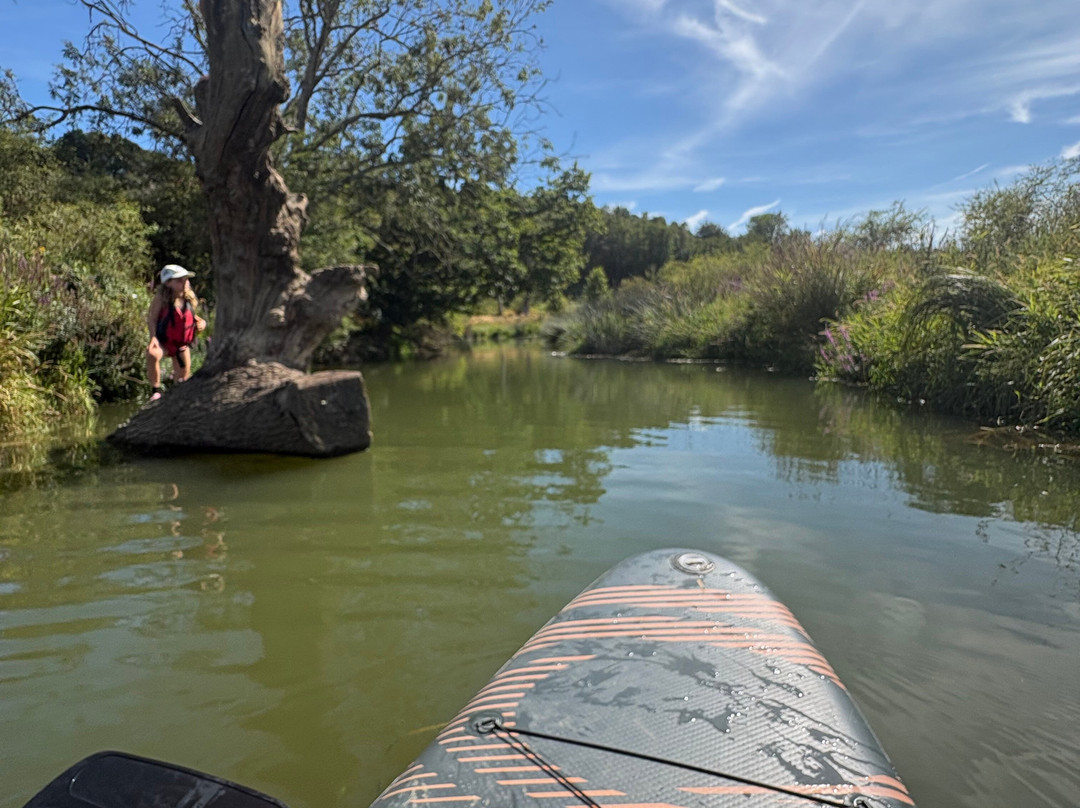 Pulborough Paddles-Pulborough必去景点