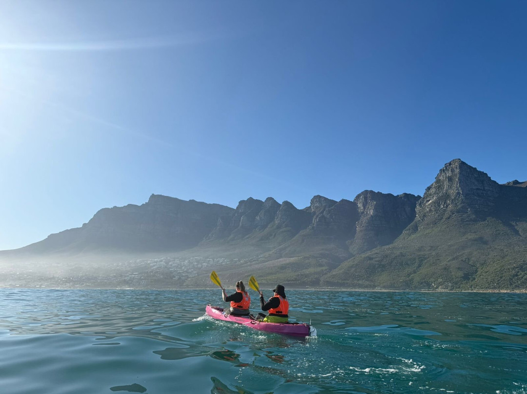 Paddle Experience: Kayak in Cape Town-西门镇必去景点
