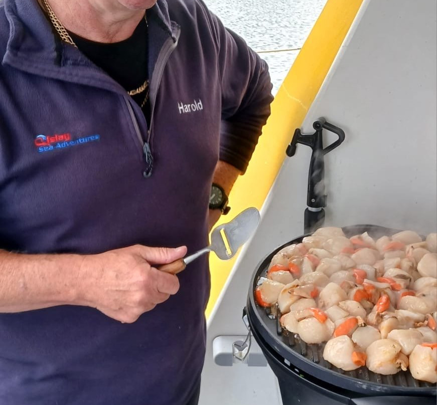 Islay Sea Adventures-Port Ellen必去景点