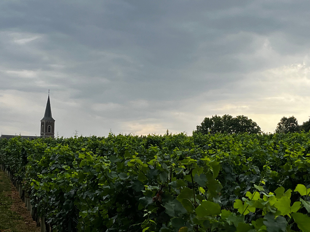 Genoels-Elderen Wine Castle-Riemst必去景点