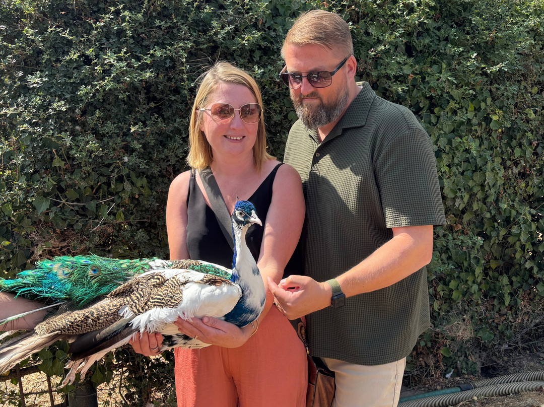 Peacocks Uk-Kempsey必去景点
