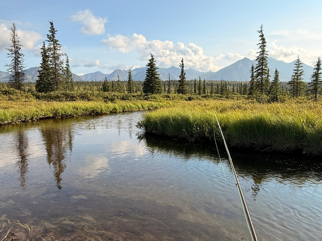 Denali Fly Fishing Guides-坎特维尔必去景点