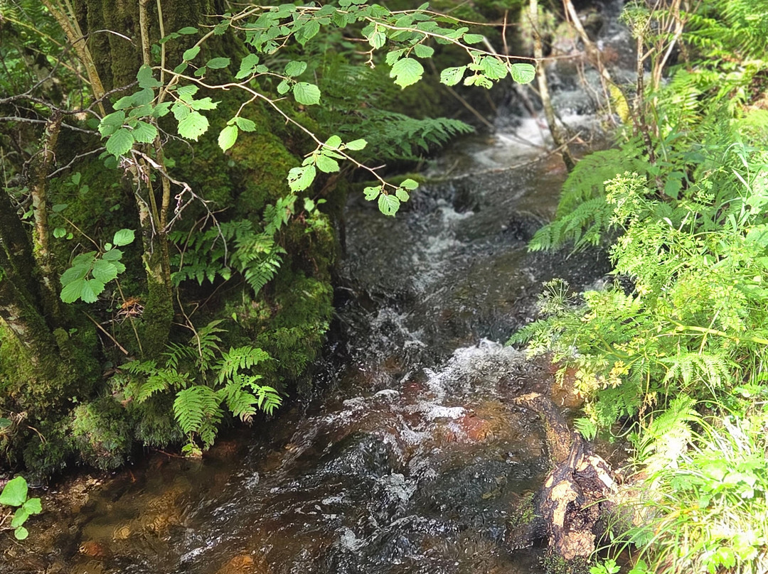 Argyll Beaver Centre-Lochgilphead必去景点