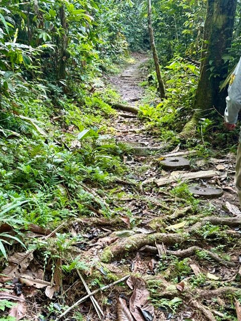 Canopy Walkway-伊基托斯必去景点