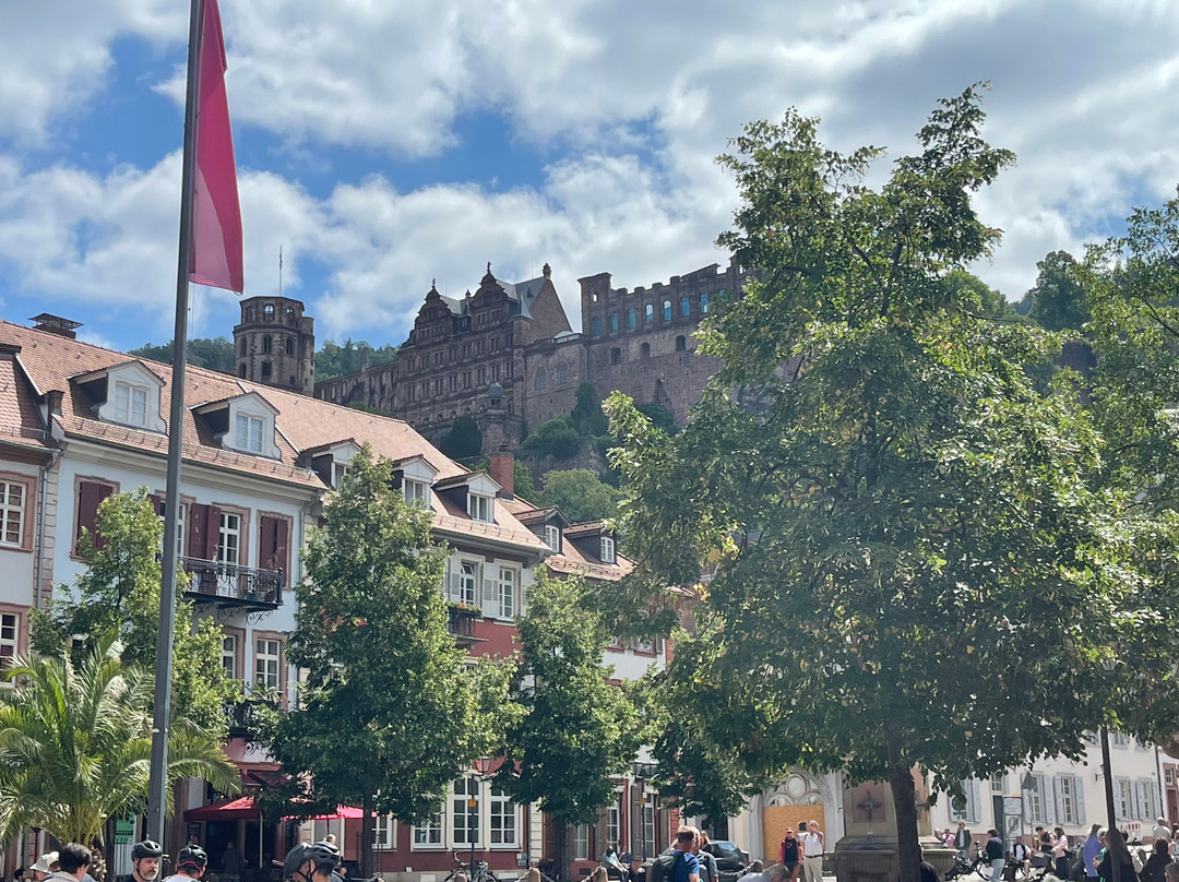 Weingut und Gästehaus Volker Schmitt主图