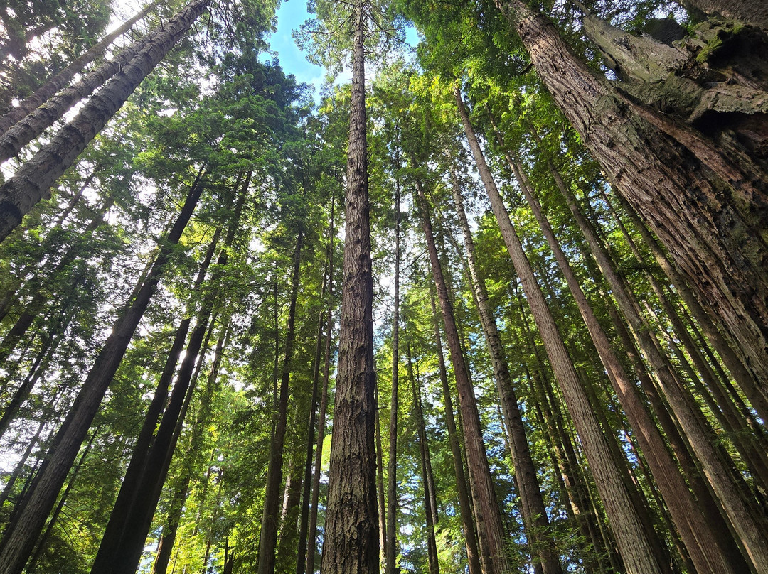 Wildtrail Tours-Arcata必去景点