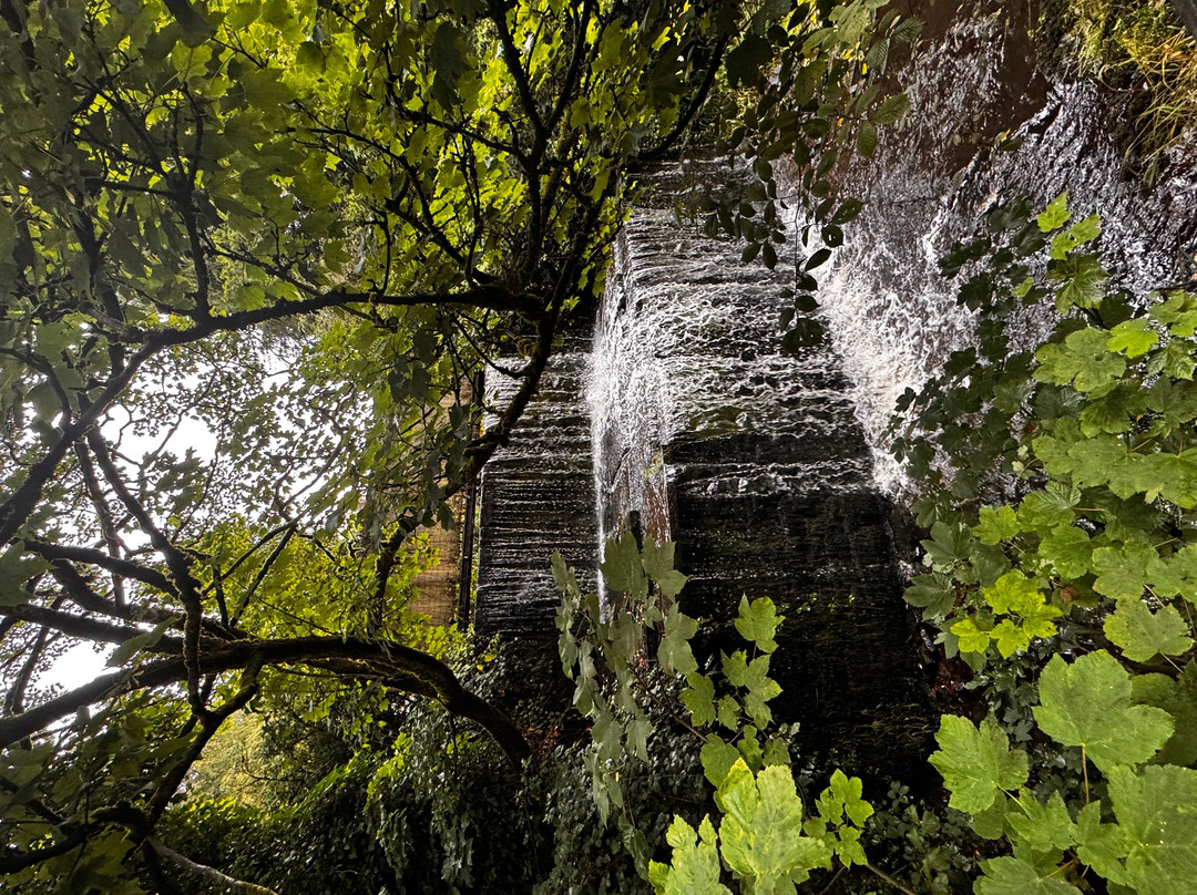Skipton Castle Woods-斯基普顿必去景点