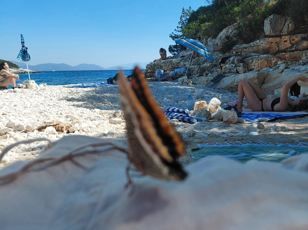 Kimilia Beach-菲斯卡尔宗必去景点