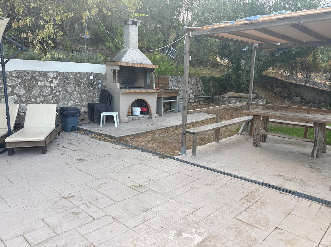 Olive Grove Poolside Apartments主图