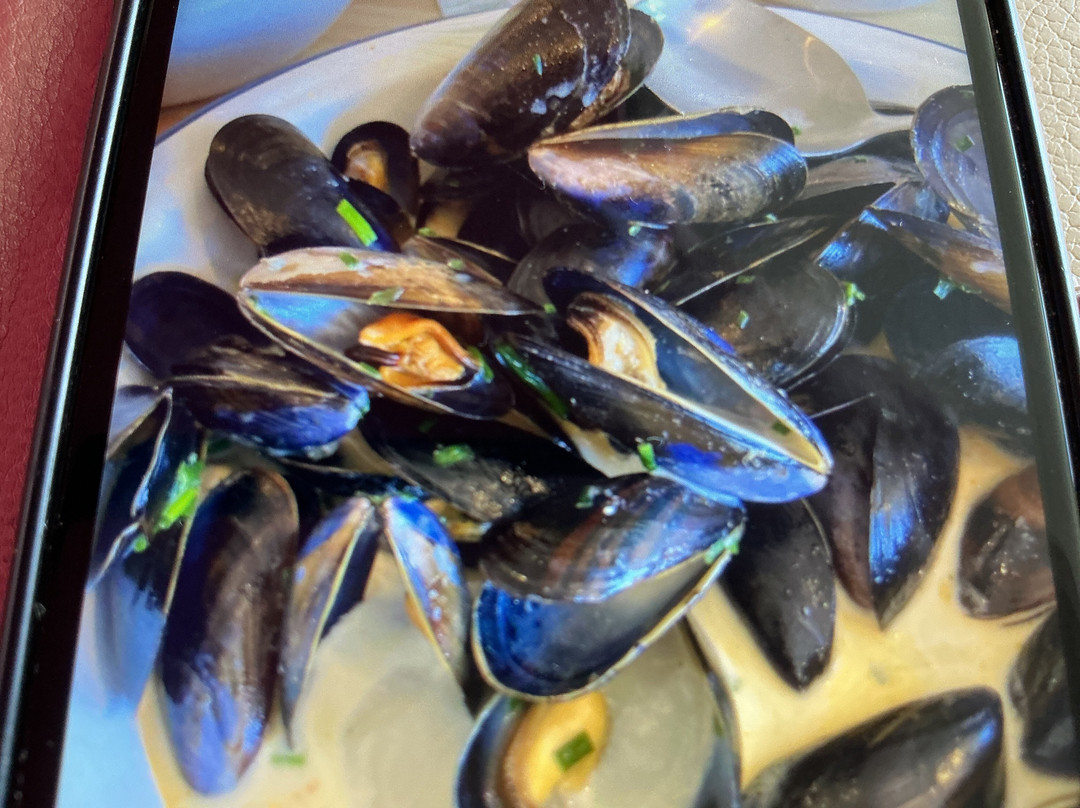 The Crafty Mussel
