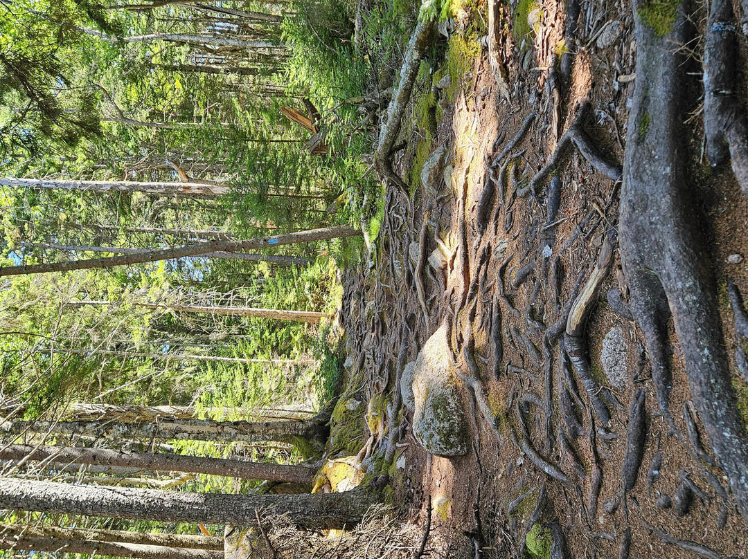 Barred Island Preserve-Deer Isle必去景点