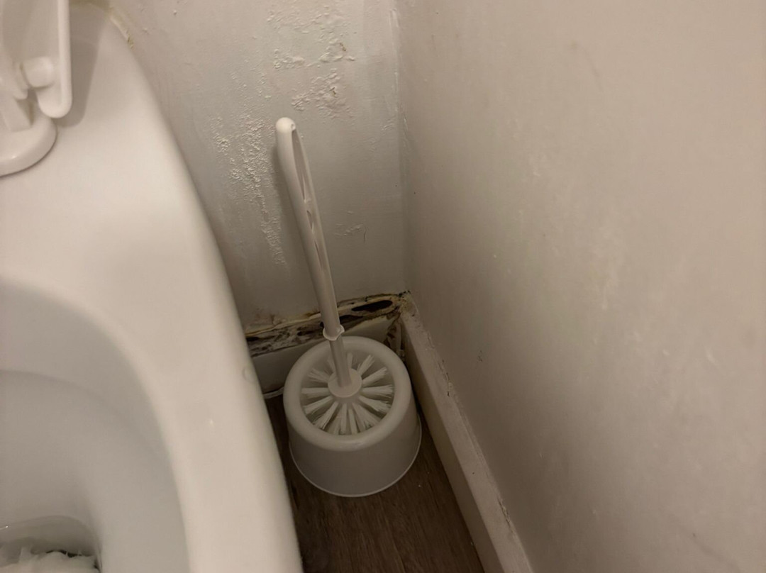 塔特里画廊公寓主图
