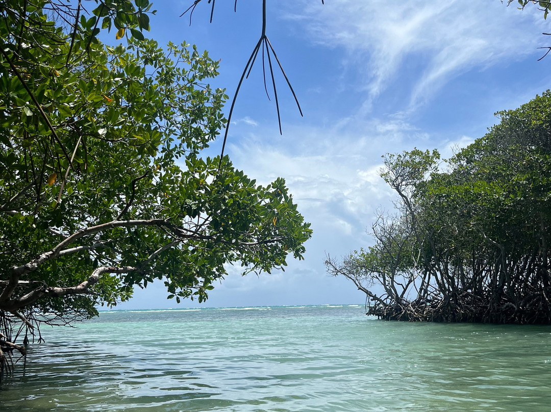 Playa Manglillo-Guanica必去景点