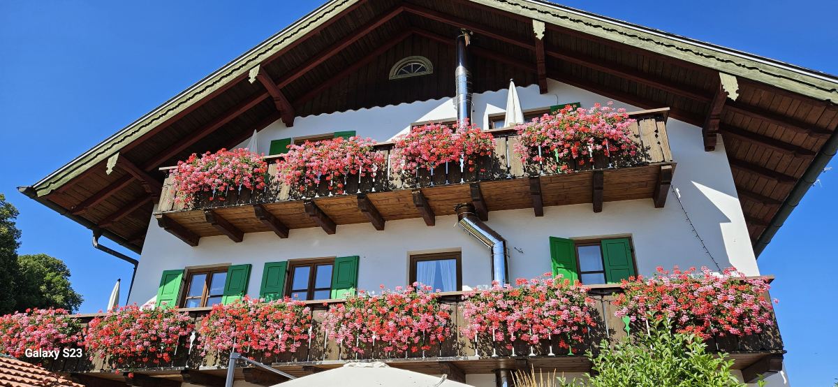 Moor&mehr Bio-kurhotel-旅行者