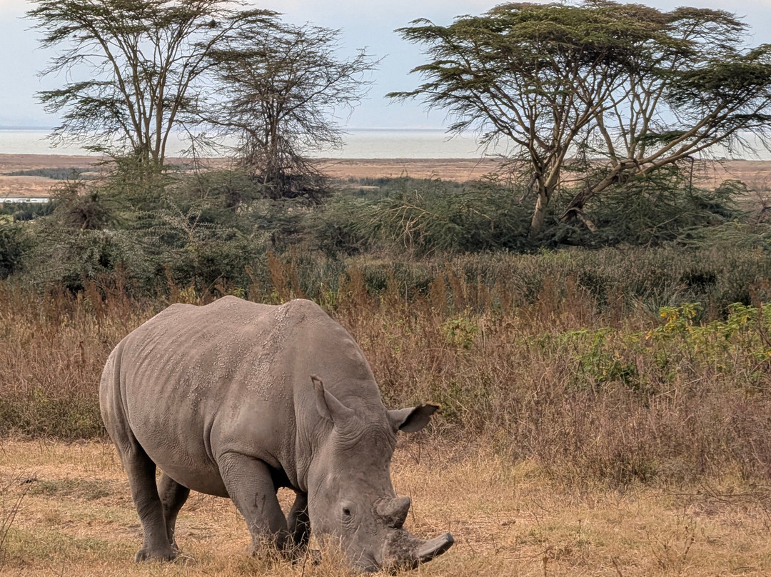 Katikati Tours and Safaris-阿鲁沙必去景点