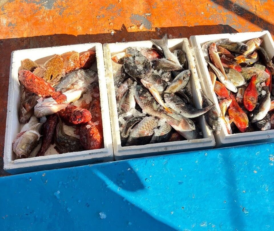 Fishing Tourism Kefalonia Michalis-Svoronata必去景点