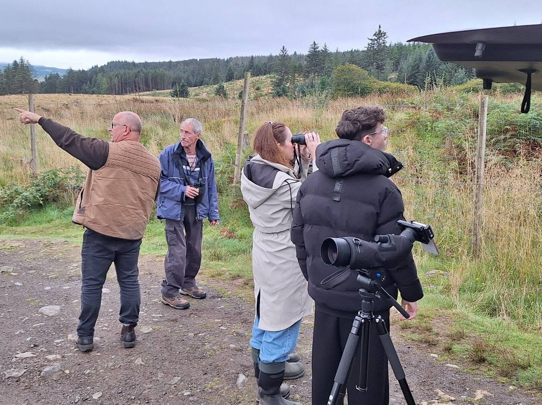 Wild Mull Tours-Pennyghael必去景点