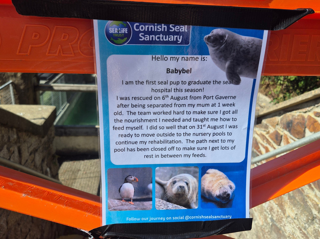 Cornish Seal Sanctuary-Gweek必去景点