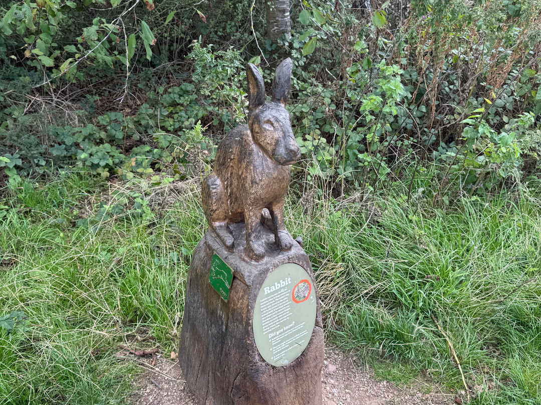Gedling Country Park-Arnold必去景点