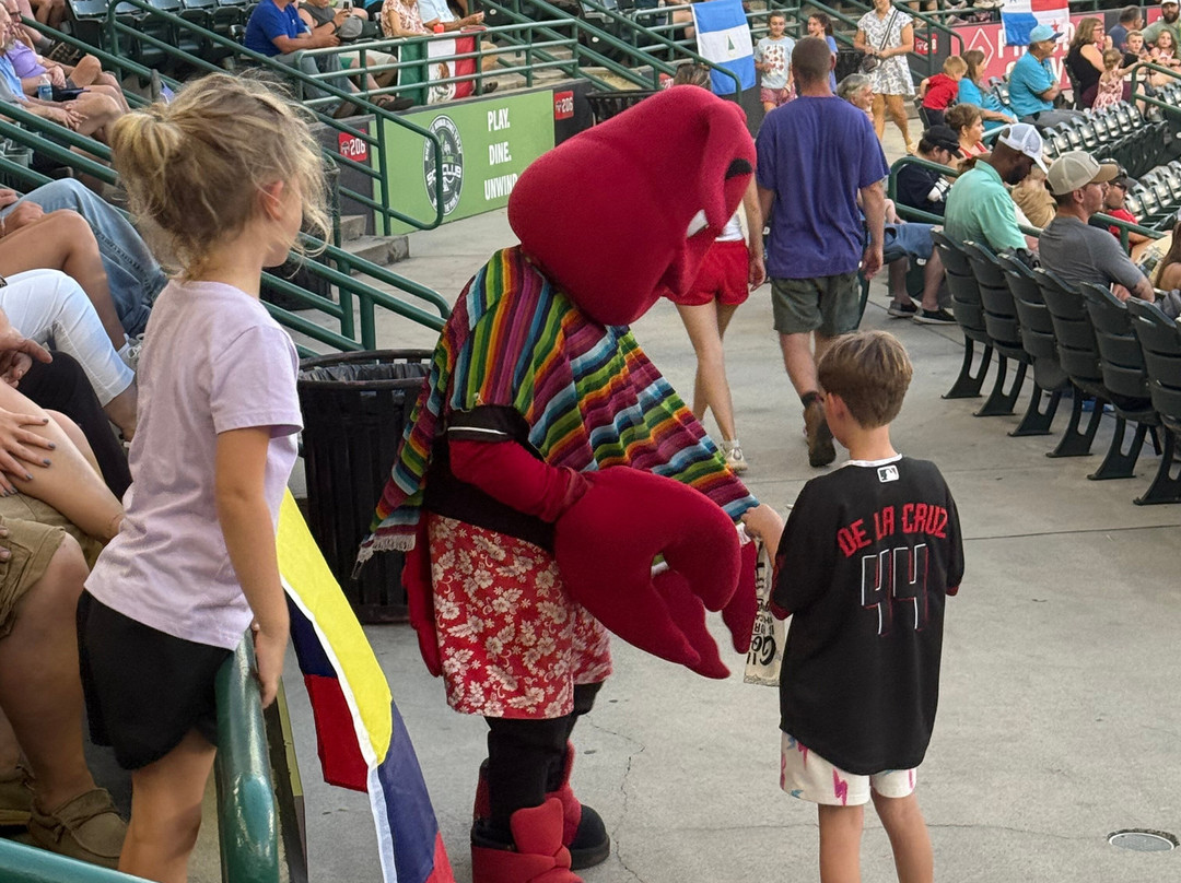 Hickory Crawdads / L.P. Frans Stadium-希科里必去景点