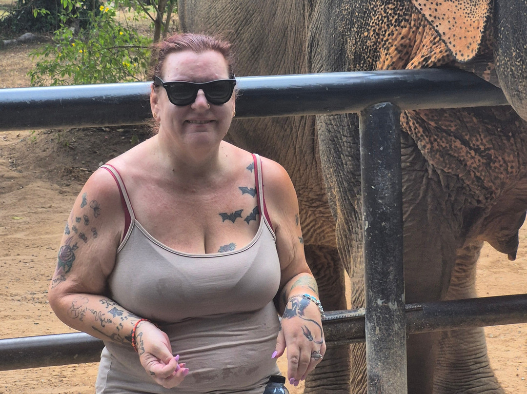 Samui Elephant Sanctuary-波普特必去景点