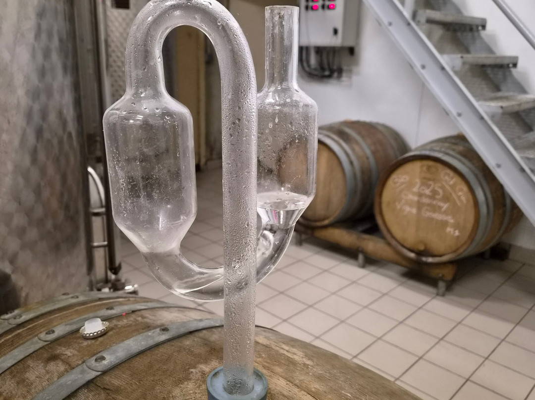 Champagne Lamiable-Tours-sur-Marne必去景点