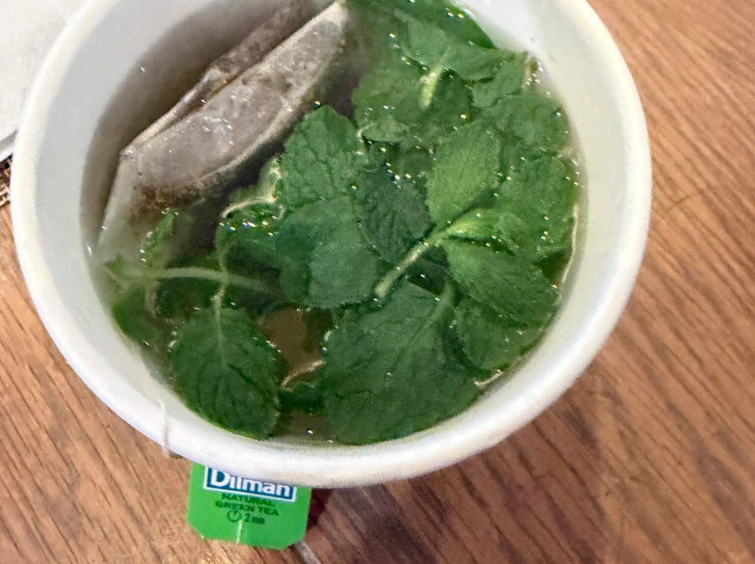 斯瓦科普蒙德标准酒店主图