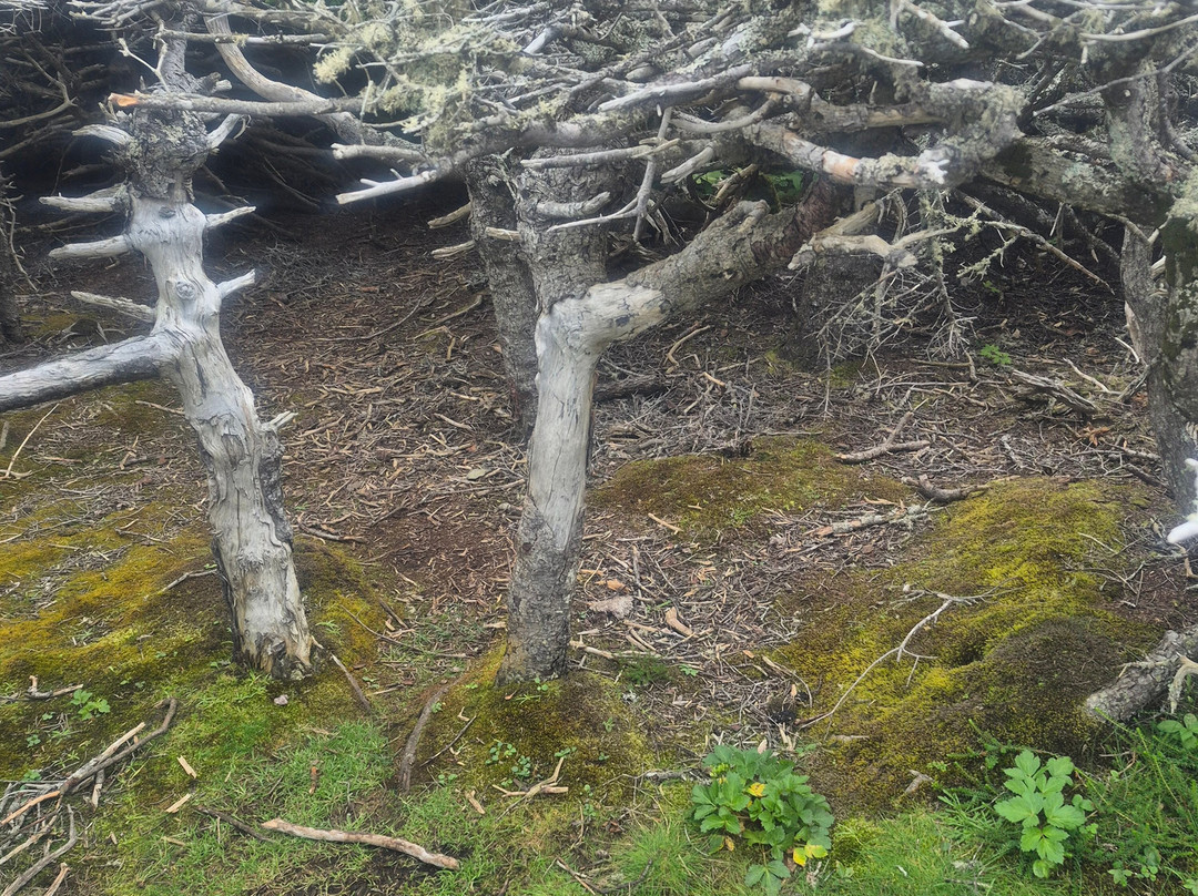 Gros Morne National Park-Rocky Harbour必去景点