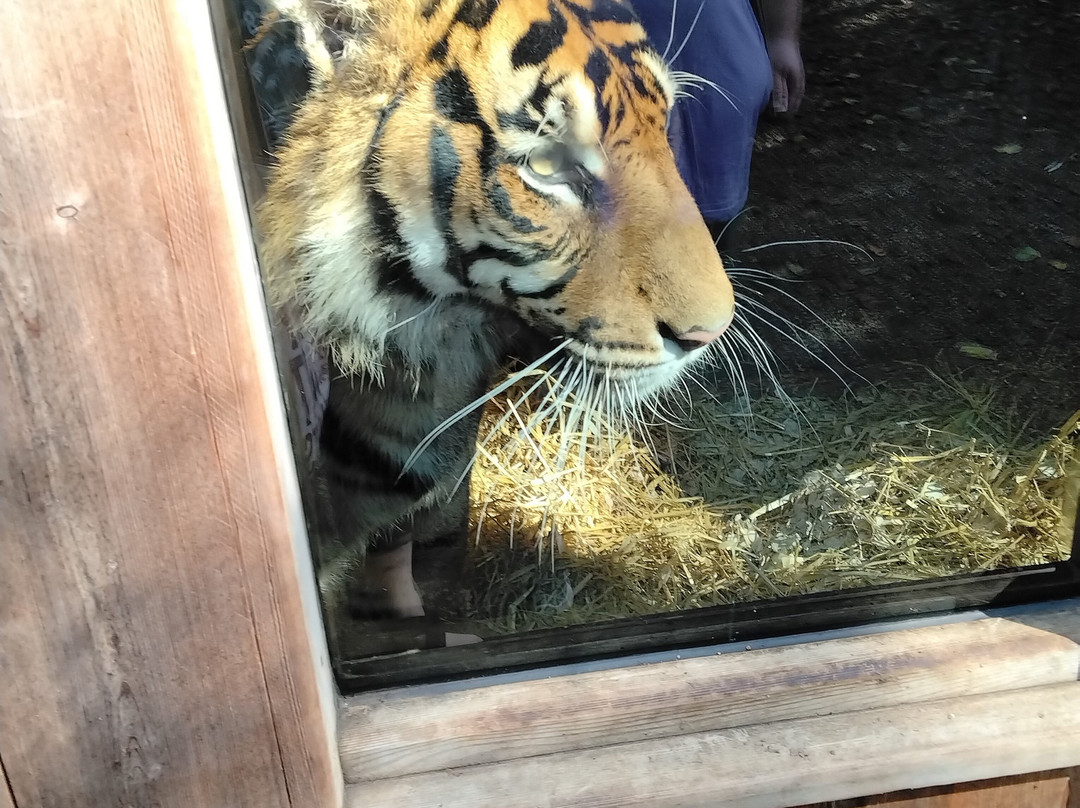 Thrigby Hall Wildlife Gardens-Filby必去景点