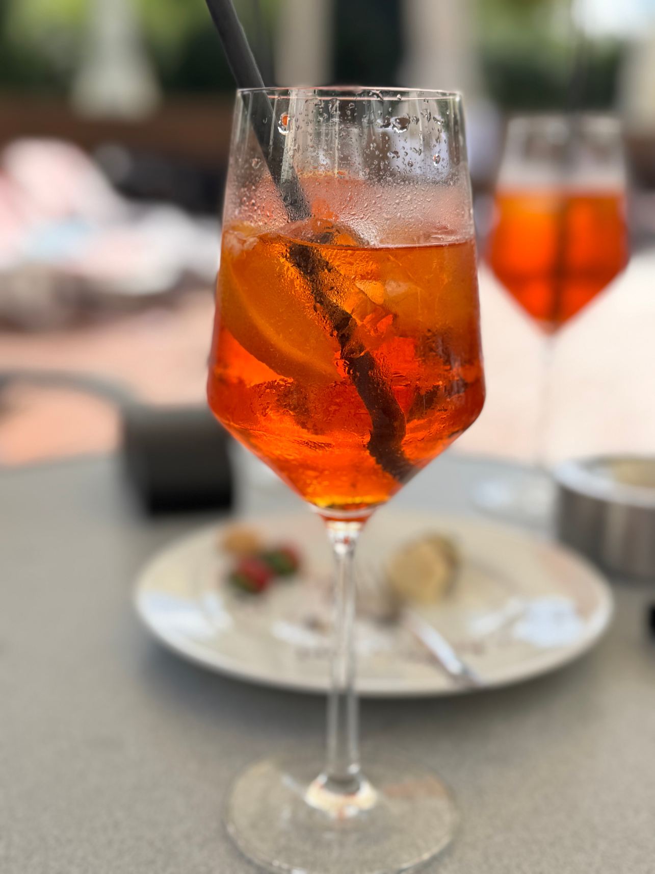 巴特格里斯巴赫公园酒店-旅行者
