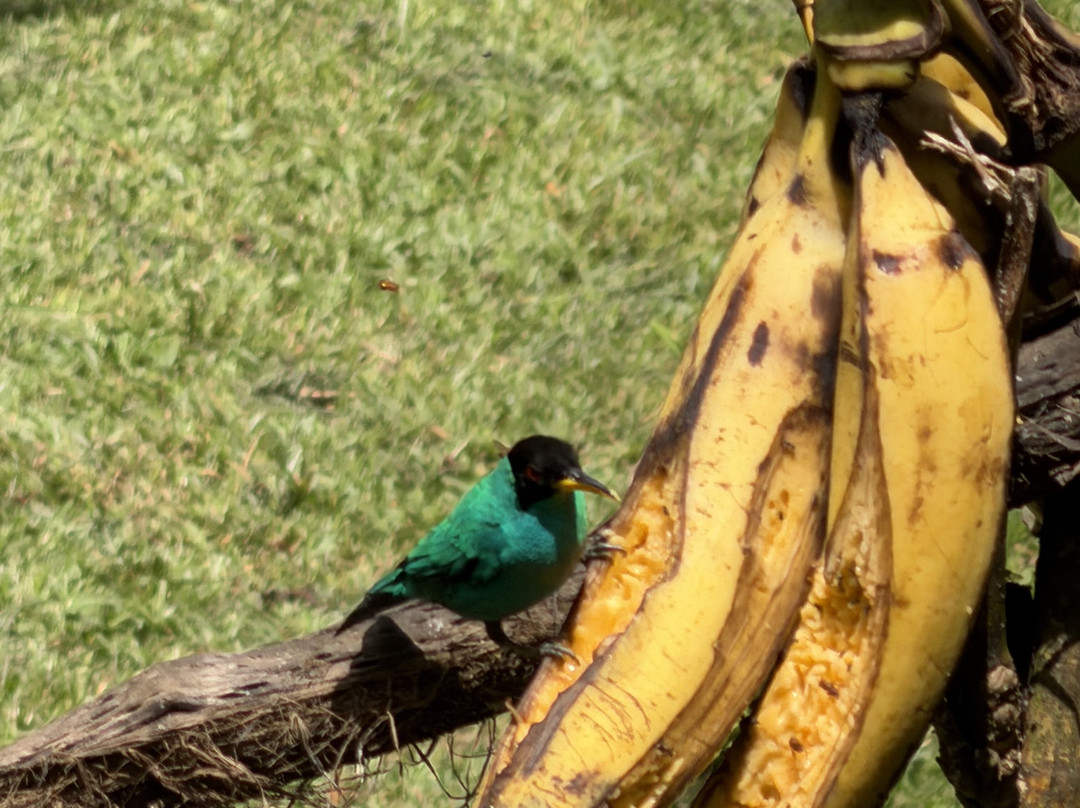 Dave & Dave's Costa Rica Nature Park-La Virgen必去景点