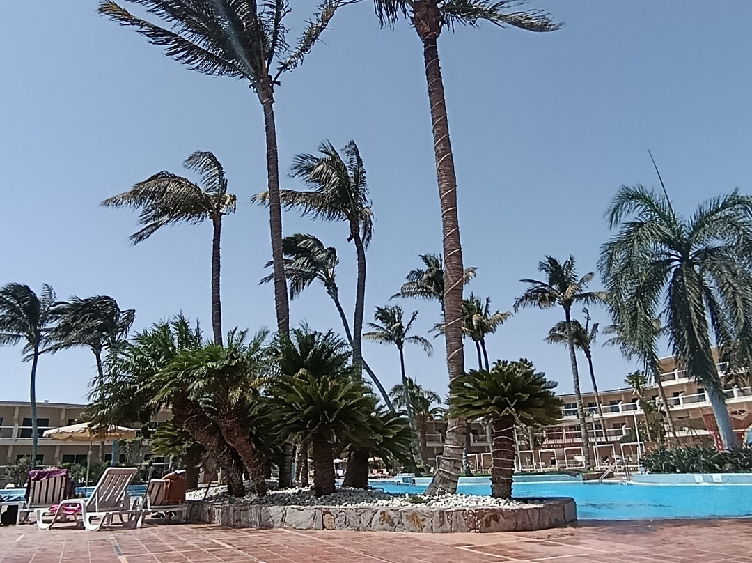 Club Hotel Drago Park主图