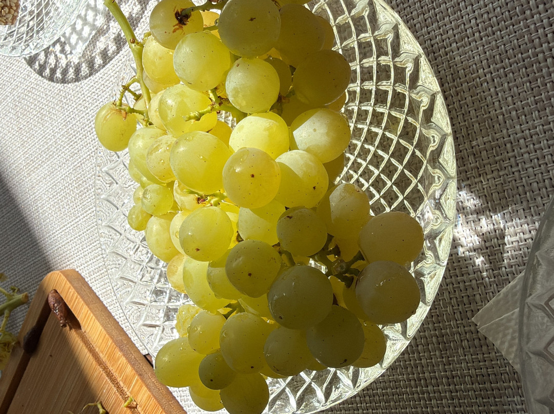 Garakis Winery-Kounavi必去景点