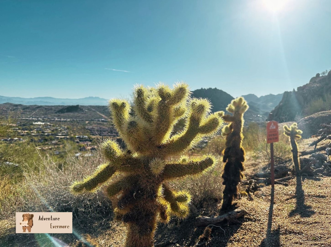 Pinnacle Peak Park-斯科茨代尔必去景点