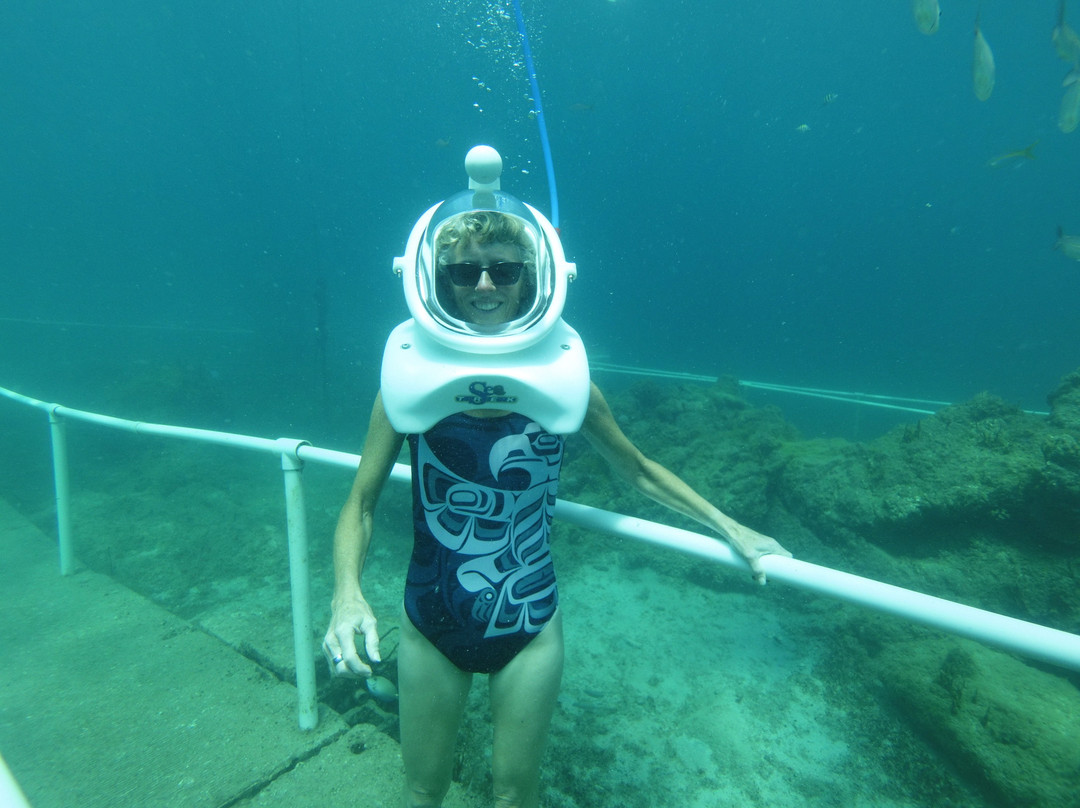 Sea Trek St. Maarten-菲利普斯堡必去景点
