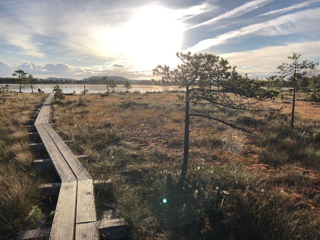 Uuejärve Matkapesa hikes and accommodation @VisitKorvemaa next to @Lahemaa National Park-Aegviidu必去景点