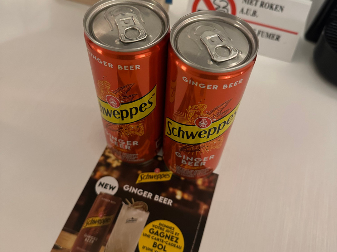 阿拉沙丘酒店主图
