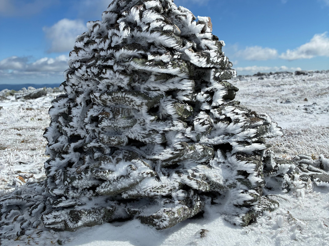 Parc National de la Gaspesie-Sainte Anne des Monts必去景点