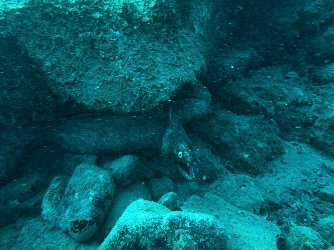 Soul Scuba Divers-Kri Island必去景点